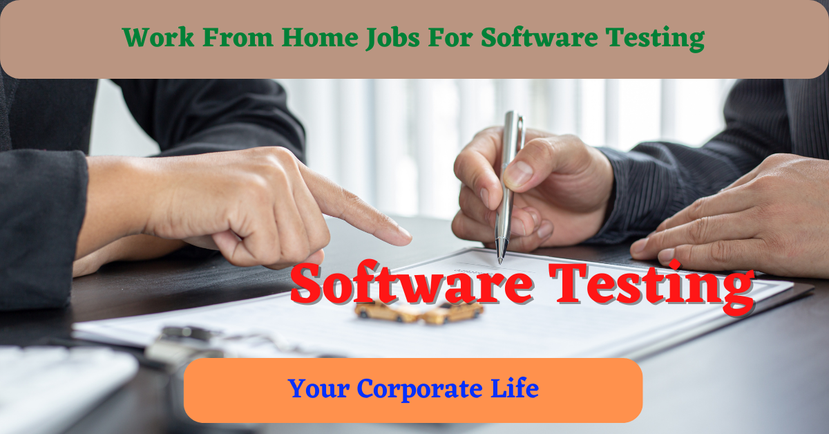 Software Testing