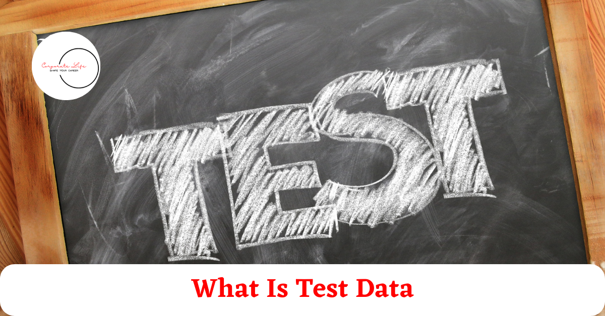 What Is Test Data