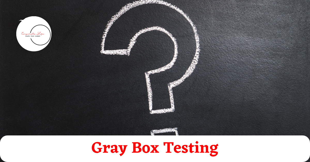 What is gray box testing?