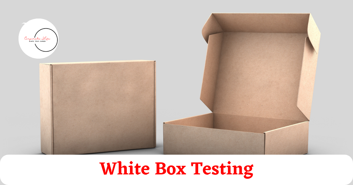 What Is White Box Testing In Software Engineering